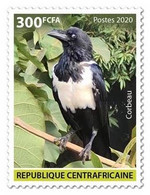 Centrafrica 2020, Animals, Bird, Raven, 1val - Centrafricaine (République)