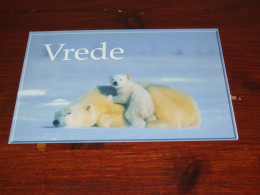 76660-     CA. 10,5 X 15,5 CM. DOUBLE CARD - BEREN / BEARS / BÄREN / OURS / ORSI / TEDDYBEARS - Orsi