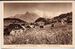 74 / MEGEVE Au Printemps - Au Fond L'Aiguille De Warens - Megève