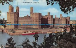 R125406 Caernarvon Castle. Valentine. Valesque - World