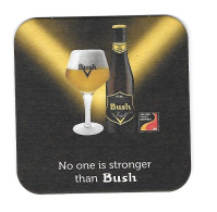 91a Brie. Dubuisson Pipaix Bush - Beer Mats