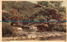R125497 Millers Dale. Photochrom. No 7930 - Monde