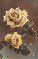 R125549 Old Postcard. Roses. 1919 - World