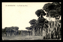 LIBAN - BEYROUTH - LA FORET DES PINS - Liban