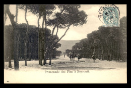 LIBAN - BEYROUTH - PROMENADE DES PINS - Líbano