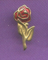 Rare Pins Fleur Rose Rouge T206 - Autres & Non Classés