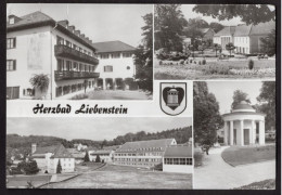 HERZBAD LIEBENSTEIN - HAUS ELSE BLICK ZUM BADEHAUS HEINRICH MANN-SANATORIUM BRUNNENTEMPEL CARTOLINA FG SPEDITA NEL 1989 - Bad Liebenstein