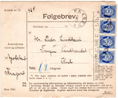Norwegen 1920, MeF 4er-Streifen 20 öre Auf Paketkarte V. Kragerö - Lettres & Documents