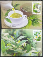 Viet Nam Vietnam Maxi Cards With Perf Stamps - International Tea Day 2024 : Plant / Flora / Flower / Fruit (Ms1190) - Vietnam