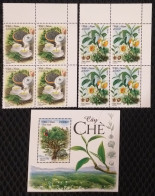 Viet Nam Vietnam MNH Specimen Stamps (in Blocks 4) & A Souvenir Sheet 2024 :TEA PLANT / Flora / Flower / Fruit (Ms1190) - Vietnam