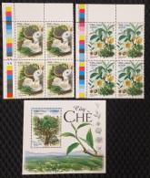 Viet Nam Vietnam MNH Specimen Stamps (in Blocks 4) & A Souvenir Sheet 2024 :TEA PLANT / Flora / Flower / Fruit (Ms1190) - Viêt-Nam