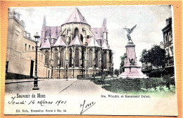 MONS  -  Ste Waudru Et Monument Dolez  -  1901 - Mons