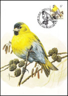 CM/MK° - 2665 - Tarin Des Aulnes / Sijsje / Erlenzeisig / Alder Siskin - BSL-BXL - 5-10-1996 - BUZIN - 1985-.. Pájaros (Buzin)