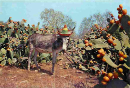 Animaux - Anes - Champ De Figuiers D'Inde - CPM - Voir Scans Recto-Verso - Anes