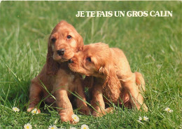 Chiens - CPM - Voir Scans Recto-Verso - Cani