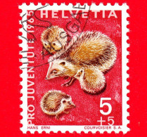 SVIZZERA - Usato - 1965 - Pro Juventute - Fauna Locale - Riccio - European Hedgehog (Erinaceus Europaeus) - 5+5 - Gebraucht