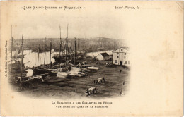 PC ILES SAINT PIERRE ET MIQUELON, LA BARACHOIS, Vintage Postcard (b53496) - Polynésie Française