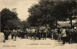 PC 29 FRANCE MARKETS LANDERNEAU FOIRE HORSES (a57738) - Landerneau