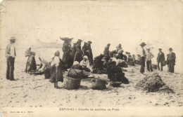 PC PORTUGAL ESPINHO ESCOLHA DE SARDINHA NA PRAIA, Vintage Postcard (b54257) - Andere & Zonder Classificatie
