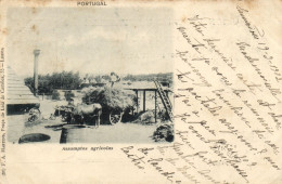 PC PORTUGAL ASSUMPTOS AGRICOLAS, Vintage Postcard (b54255) - Autres & Non Classés