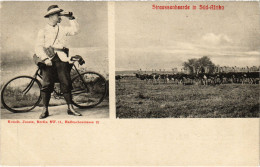 PC AFRICA, SOUTH AFRICA, OSTRICHES AND A BIKE, Vintage Postcard (b53934) - Afrique Du Sud