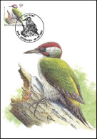 CM/MK° - 2778 - Pic Vert/Groene Specht/Specht/Woodpecker/Picus Viridis - Nivelles (à Gauche / Links)- 08-08-1998 - BUZIN - 1985-.. Vögel (Buzin)