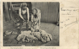 PC AUSTRALIA THE SHEARING BOARD, Vintage Postcard (b53853) - Other & Unclassified