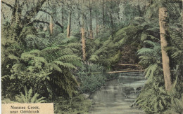 PC AUSTRALIA MENZIES CREEK NEAR GEMBROOK, Vintage Postcard (b53774) - Sonstige & Ohne Zuordnung