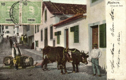 PC MADEIRA PORTUGAL CORCA DE BOIS, Vintage Postcard (b54327) - Madeira