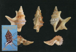 LIBYA 1985 Shells "Aporrhaidae" (maximum-card) #10 - Conchas