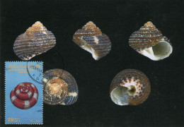 LIBYA 1985 Shells "Trochidae" (maximum-card) #11 - Muscheln