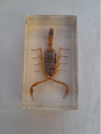 INSECTE INCLUSION  RESINE  SCORPION DORE - Sonstige & Ohne Zuordnung