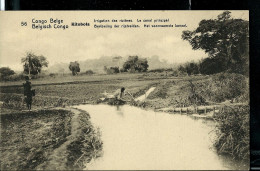 Carte Neuve Avec Vue N° 43 - 56 : Kitobola : Irrigation Des Rizières - Le Canal Principal - Entiers Postaux
