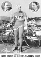 PHOTO CYCLISME REENFORCE GRAND QUALITÉ ( NO CARTE ) STEFANO CRISTIFILIPPO TEAM CITE 1963 - Radsport