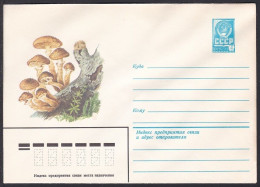 Russia Postal Stationary S0705 Mushroom - Pilze