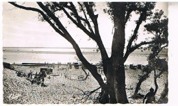 33 BASSIN D  ARCACHON  VUE SUR LA PLAGE               9X14 - Arcachon