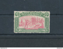 1906 NEW ZEALAND - Stanley Gibbons N. 373 - 6 D. Pink And Olive Green - MH* - Sonstige & Ohne Zuordnung