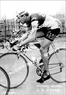 PHOTO CYCLISME REENFORCE GRAND QUALITÉ ( NO CARTE ), VITTORIO ADORNI TEAM CYNAR 1963 - Radsport