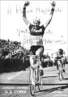 PHOTO CYCLISME REENFORCE GRAND QUALITÉ ( NO CARTE ), VITTORIO ADORNI TEAM CYNAR 1963 - Radsport