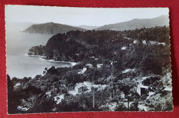 CPSM Petit Format -  Le Rayol  -(Var) - Vue Panoramique- Bords De Mer- Dans Le Fond, Le Cap Nègre - Autres & Non Classés