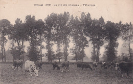 LA VIE AUX CHAMPS(PATURAGE) VACHE - Personen