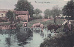 LA VIE AUX CHAMPS(LA MARE) VACHE - Personnages