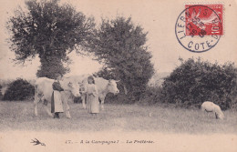 A LA CAMPAGNE(VACHE) - People