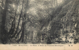 Postcard France St. Cloud Le Parc - Sonstige & Ohne Zuordnung