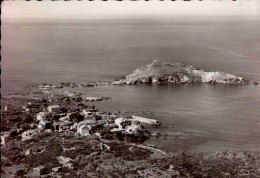 CAP CORSE   ( HAUTE CORSE )   LE PORT ET L ' ILE DE CENTURI - Autres & Non Classés