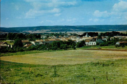 VIEVILLE  ( MEURTHE ET MOSELLE )    LA VUE GENERALE   ( LEGER PLI EN BAS , A GAUCHE ) - Sonstige & Ohne Zuordnung