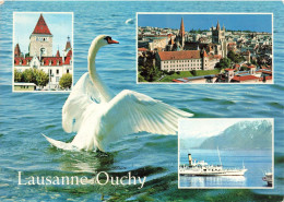SUISSE - Lausanne - Ouchy -  Cygne  - Château - Bateau - Carte Postale - Lausanne