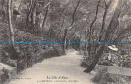 R126540 La Cote D Azur. Hyeres. Costebelle. Sous Bois. 1910 - World