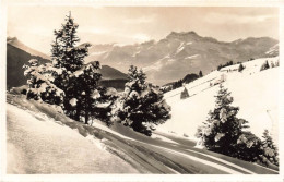 [-5%] SUISSE - Leysin - Vue Sur Les Dents Du Midi - Carte Postale - Leysin