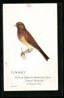 AK Linnet, Feed On Capern`s Perfectly Clean Linnet Mixtupe, In Packets Only  - Pájaros